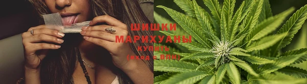 мяу мяу мука Волоколамск