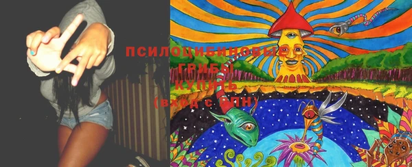 мяу мяу мука Волоколамск